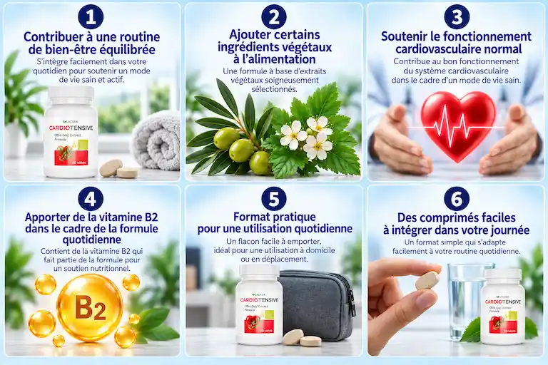 Cardiotensive Tablet Routine Quotidienne